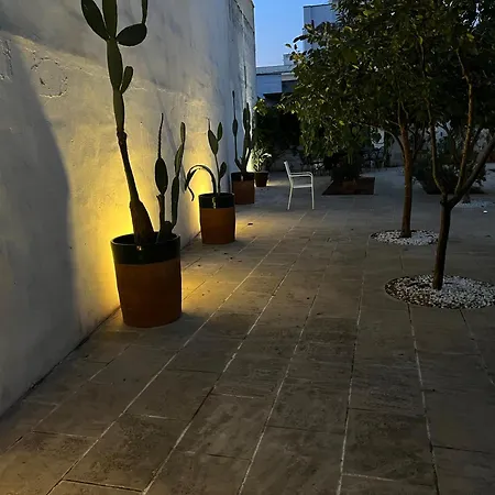 Canneddi Boutique Farm-3